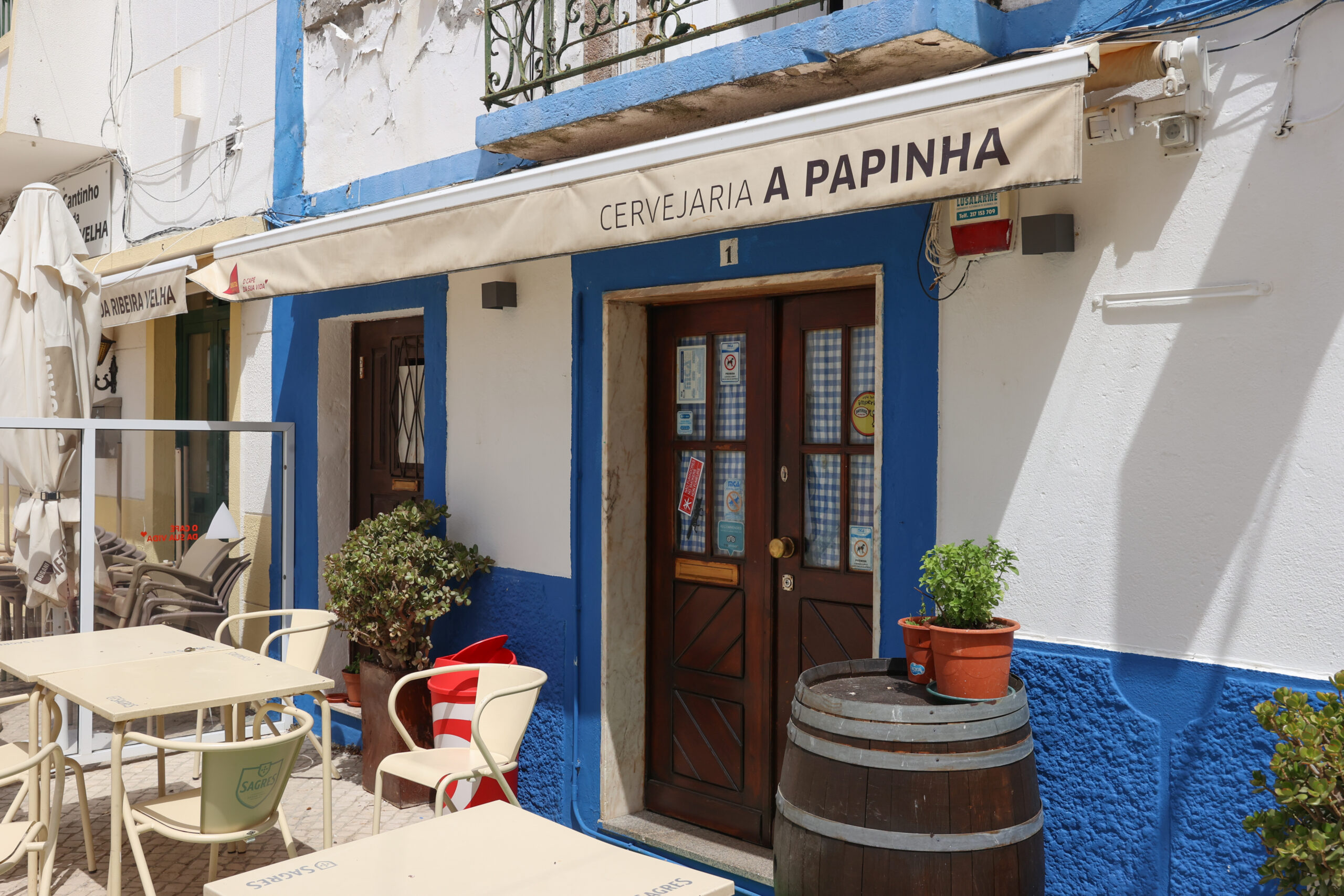 A Papinha