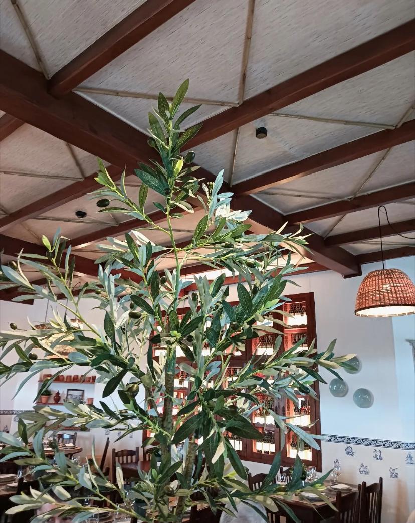 IMG-20251114-WA0001 O leonardo foto 2