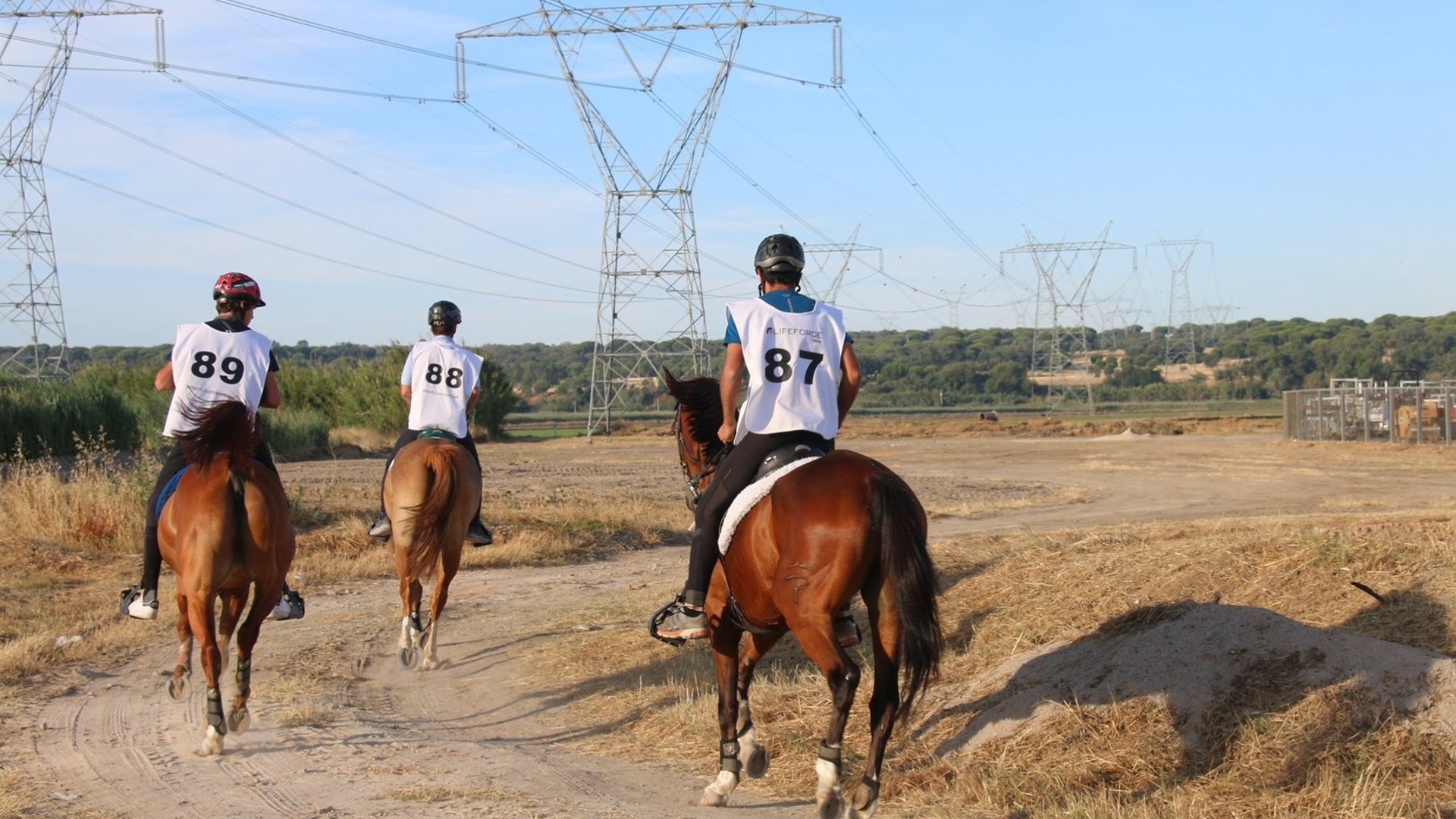 Município apoia realização de atividade de Hipismo a realizar em Maio na Herdade de São Bento