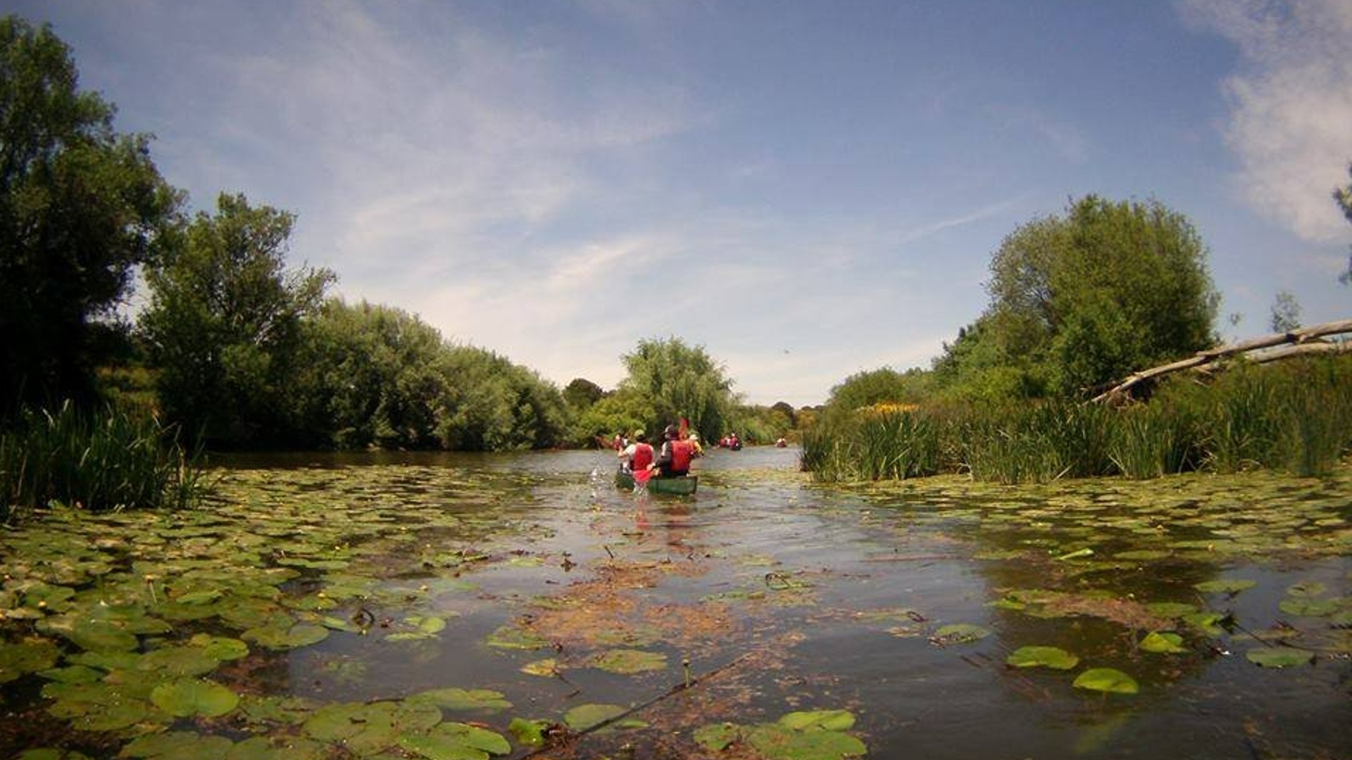 Canoagem no Rio Sado em Maio