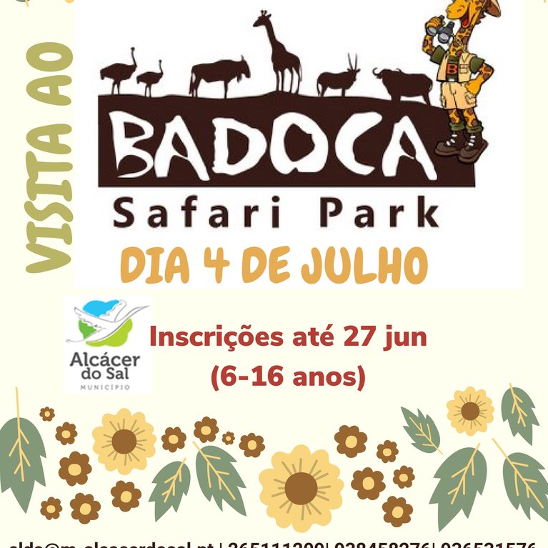 Cartaz_Badoka.2e16d0ba.fill-767x767