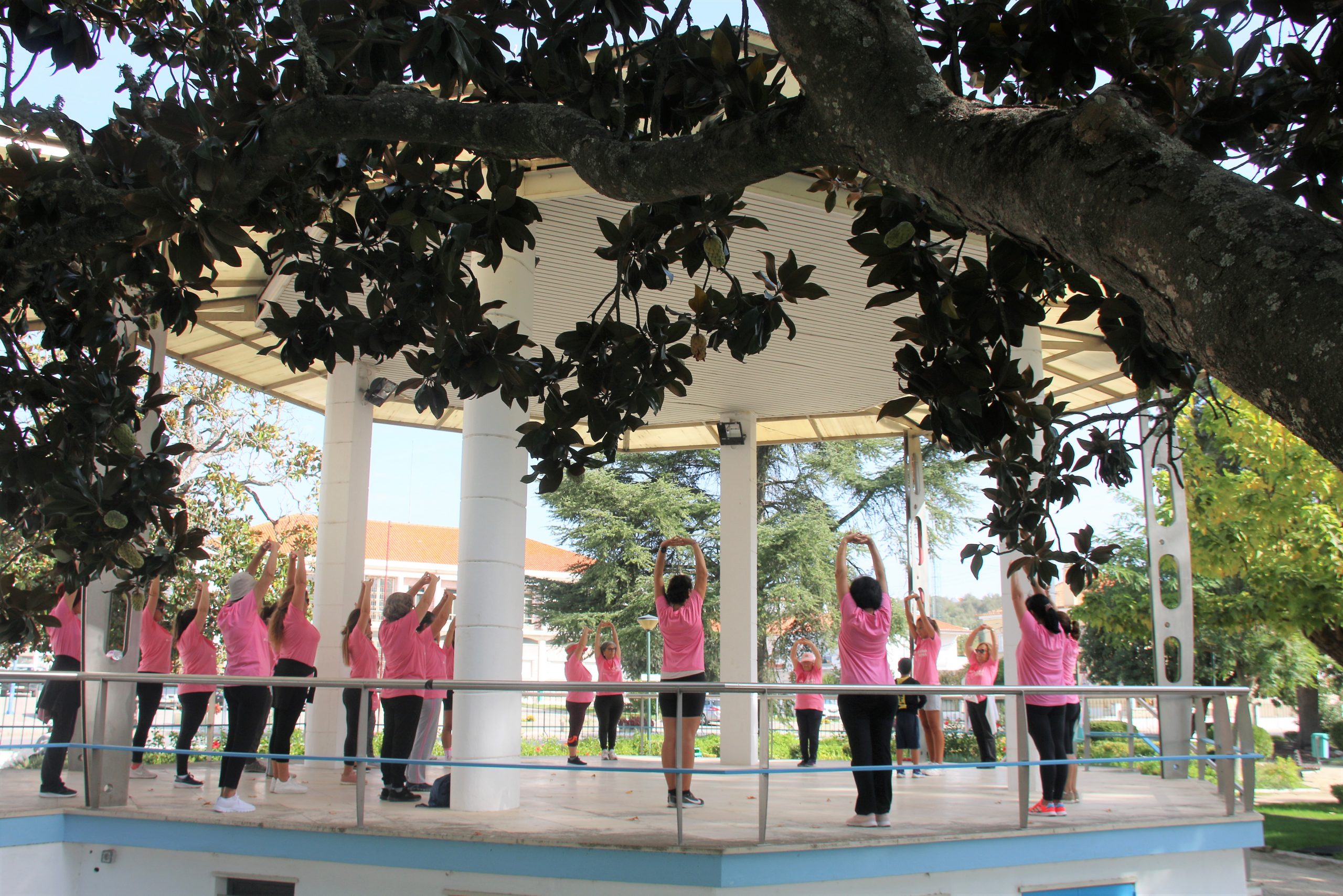 Caminhada ‘Outubro Rosa’ em Alcácer do Sal