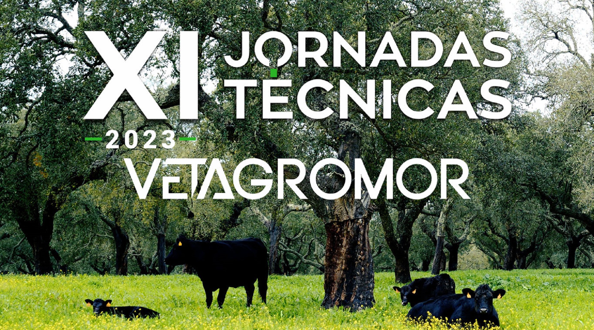 XI Jornadas Técnicas da Vetagromor 2023 amanhã no Auditório Municipal de Alcácer