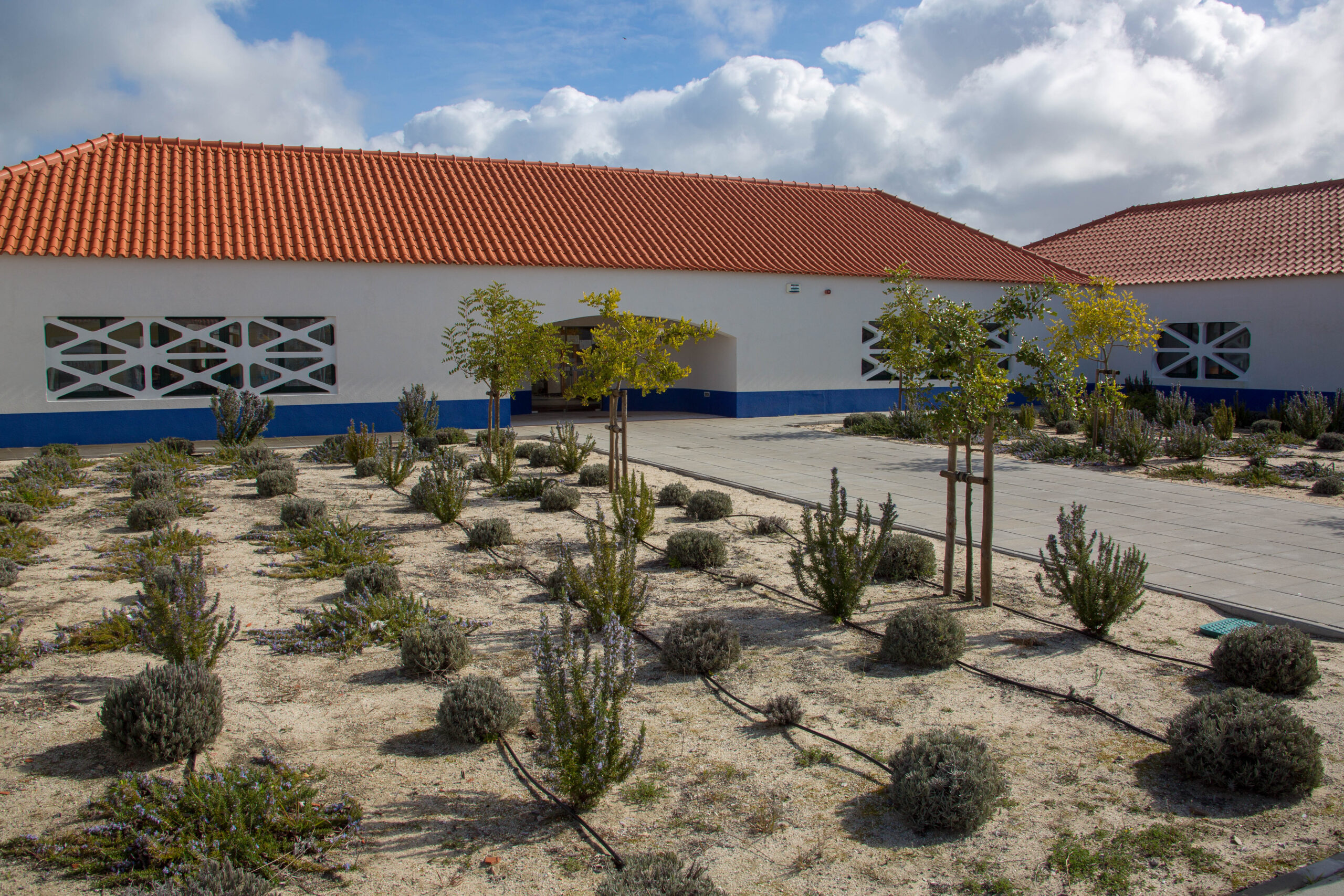 Município vai ceder apoio ao Centro Social S. Pedro da Comporta para realização de colónia de...