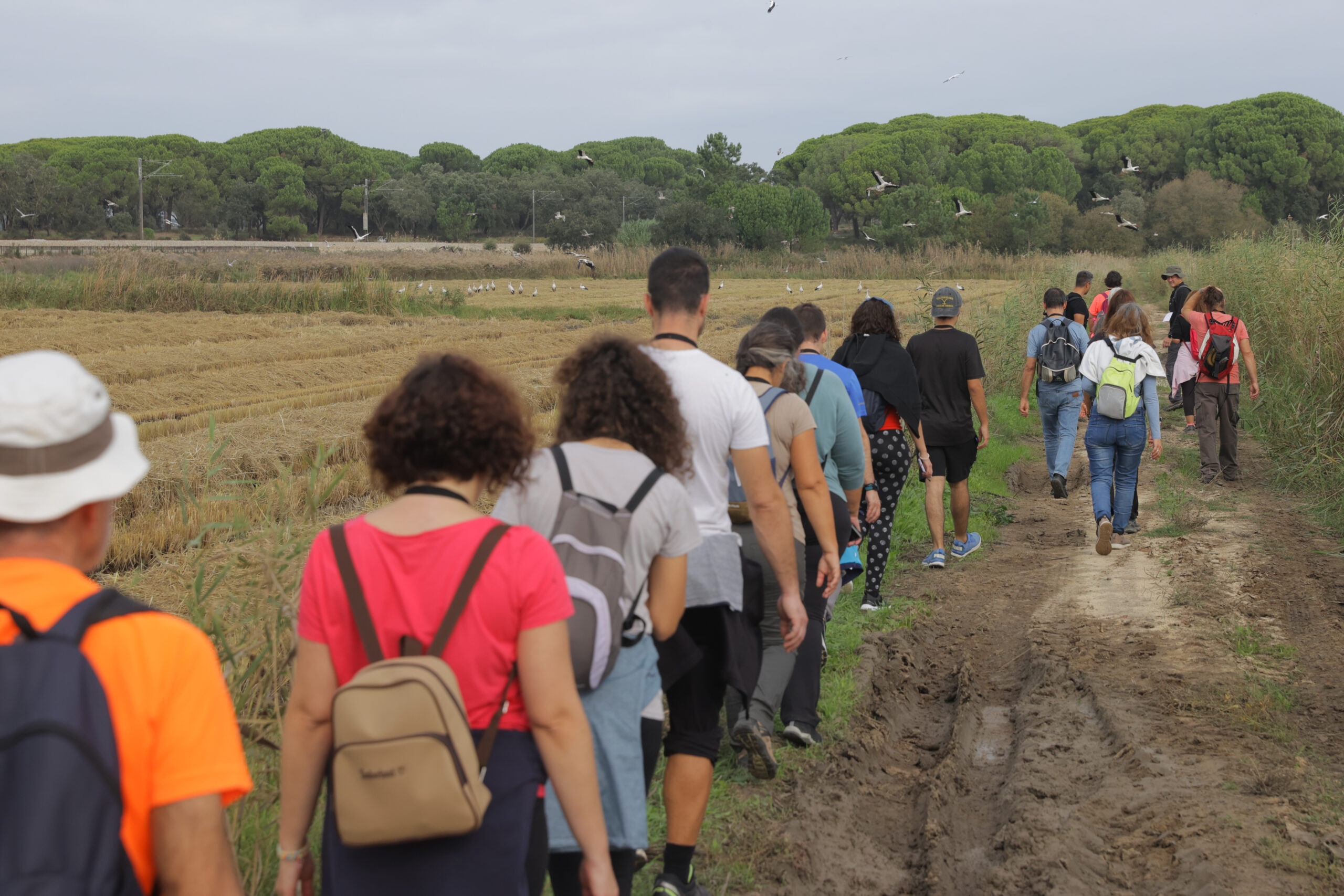 Inscrições para o Alentejo Walking Festival em Alcácer do Sal esgotaram