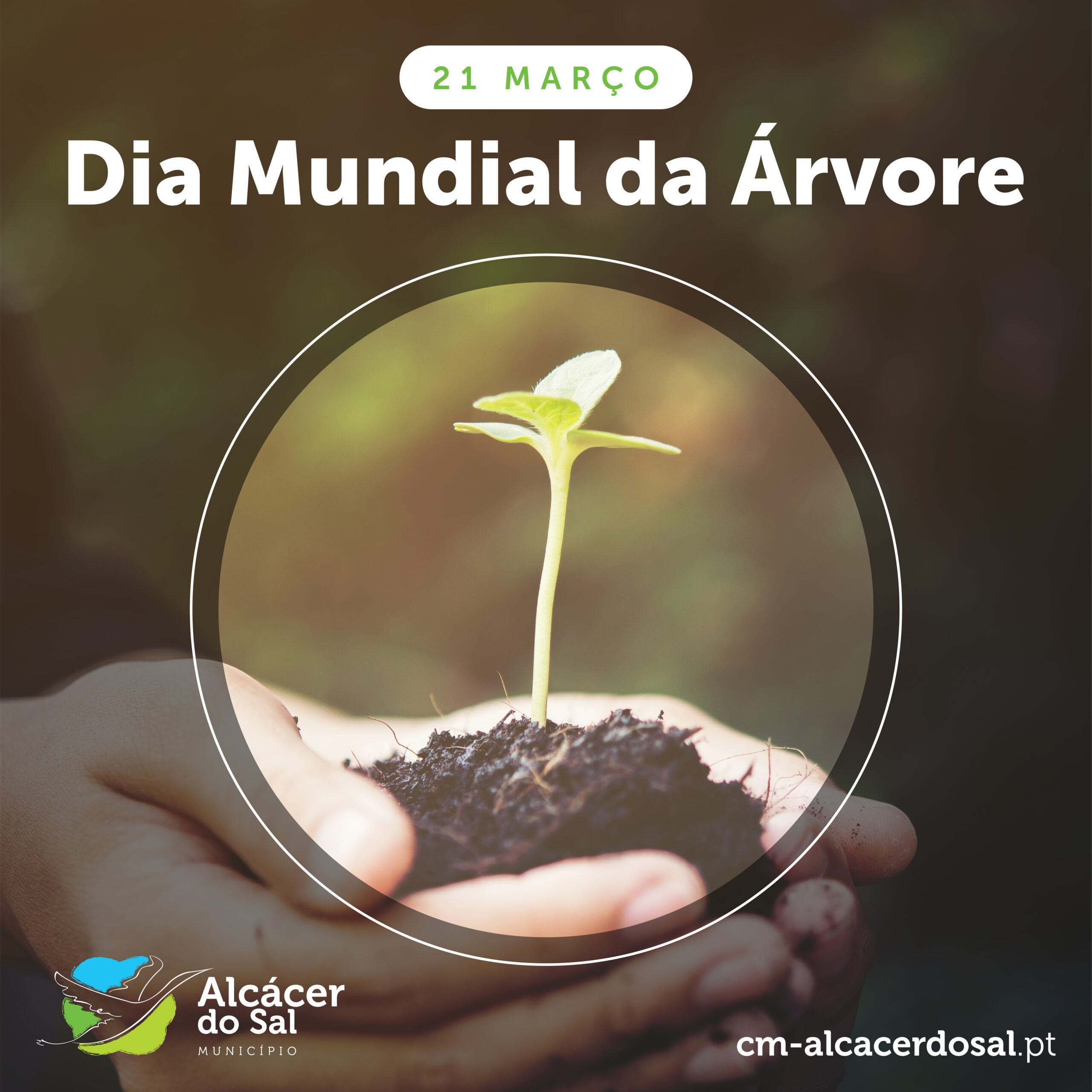 Dia Mundial da Árvore