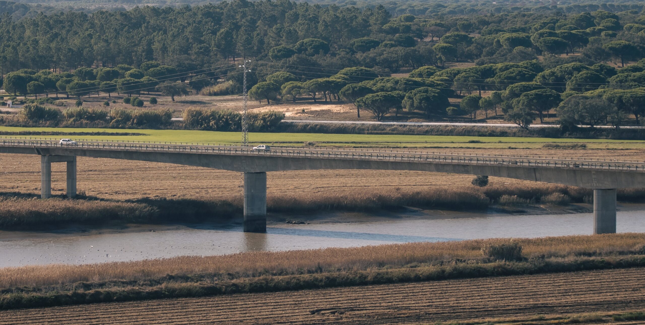 ponte rodoviária IC1 (1)