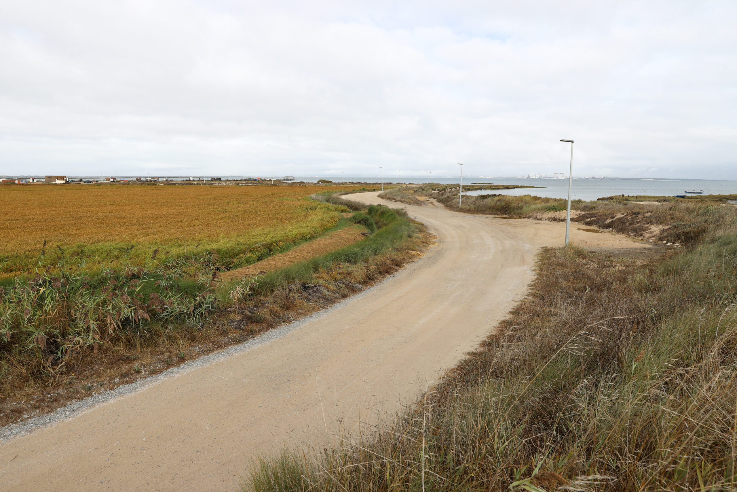 Empreitada de requalificação do acesso ao Cais Palafita da Carrasqueira tem documentação apro...