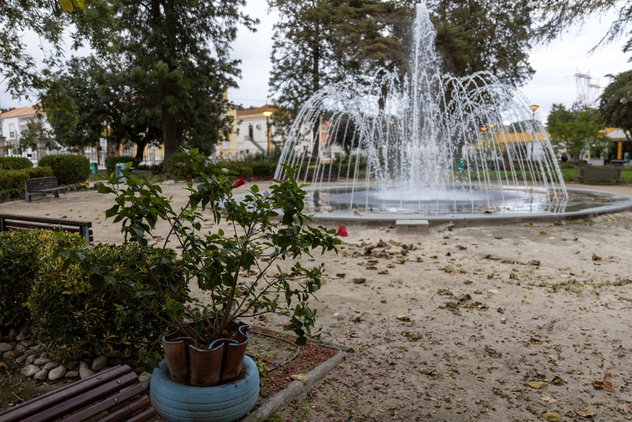 Câmara Municipal executa melhoramentos no Jardim Público Municipal