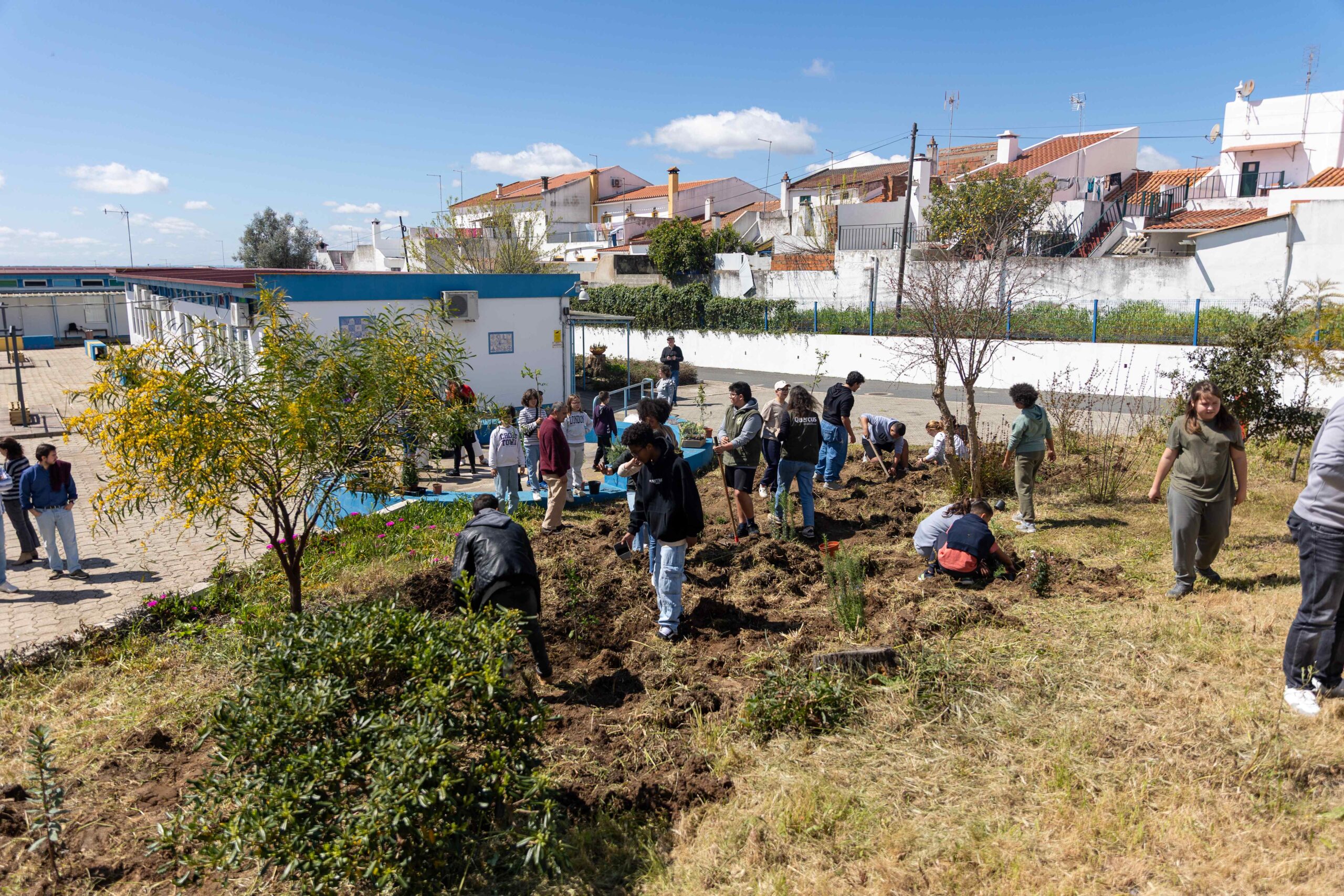 Agrupamento de Escolas do Torrão comemorou Dia Mundial da Árvore com duas atividades na Escola ...