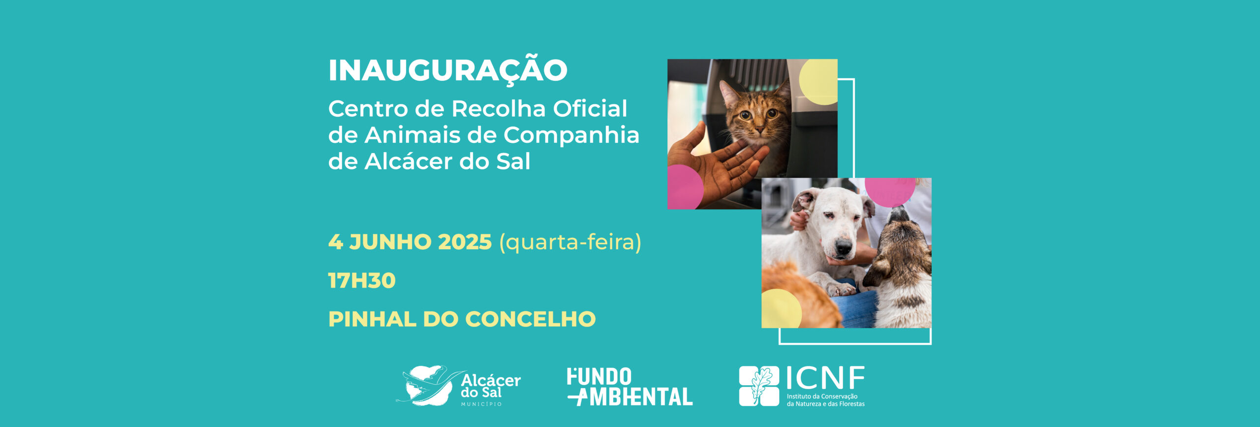 Novo Centro de Recolha Oficial de Animais de Alcácer do Sal vai ser inaugurado no dia 4 de junho
