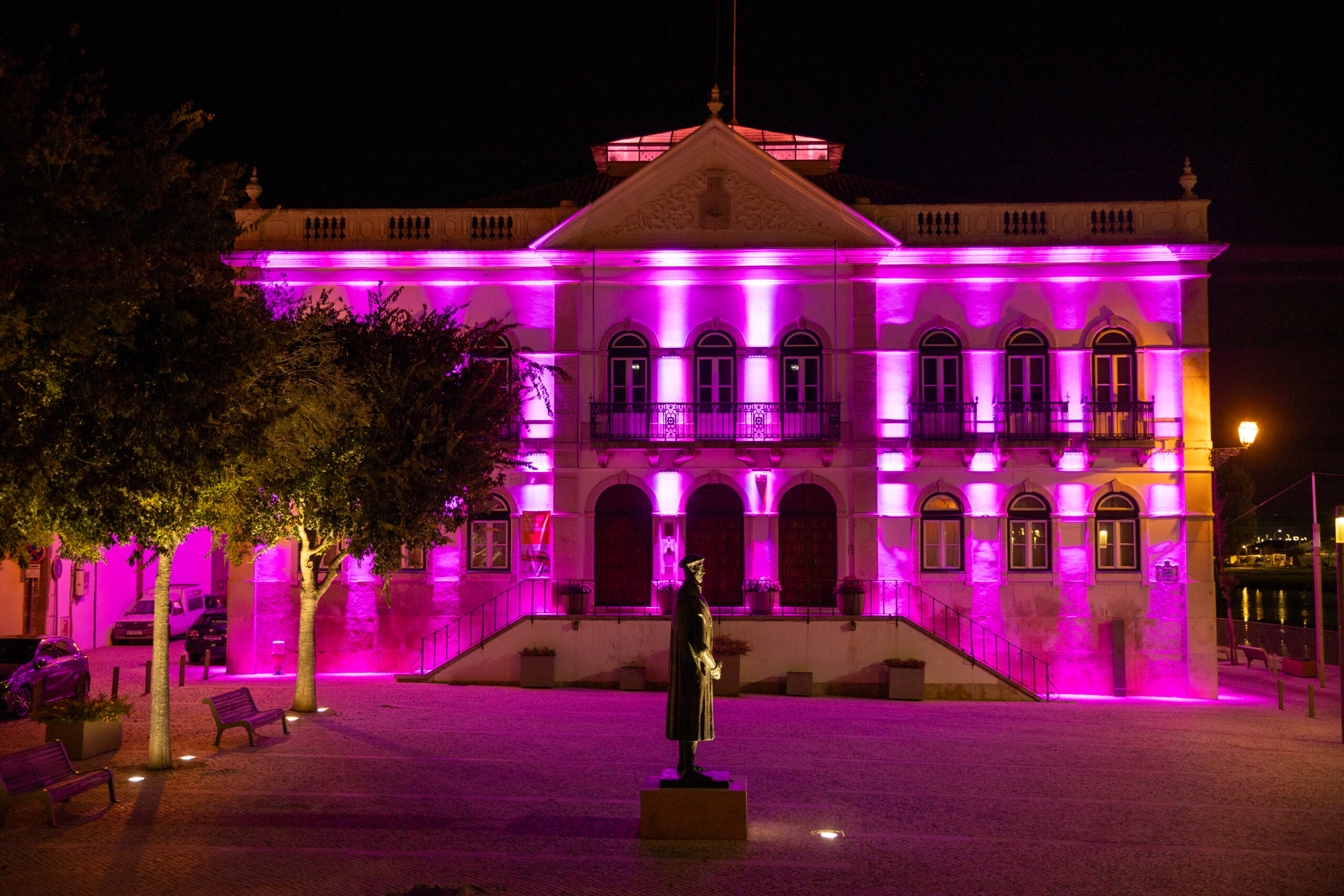 2025-10-06-Câmara Municipal Iluminada - Cor-de-Rosa (4)