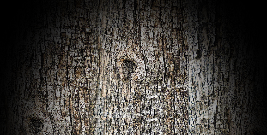 HVA – Agricultura, Pecuária, Caça e Turismo Rural do Alentejo, Limitada