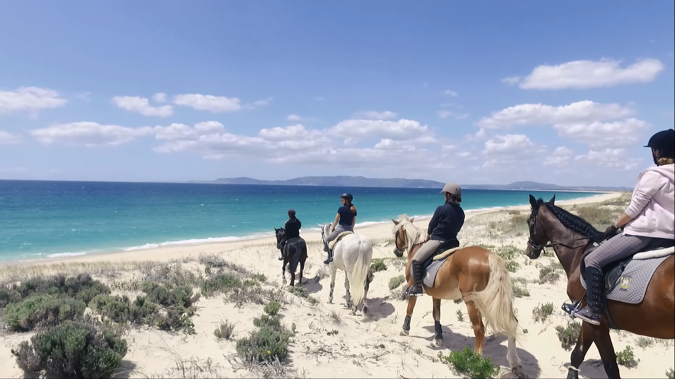 Entre Amigos – Actividades Equestres