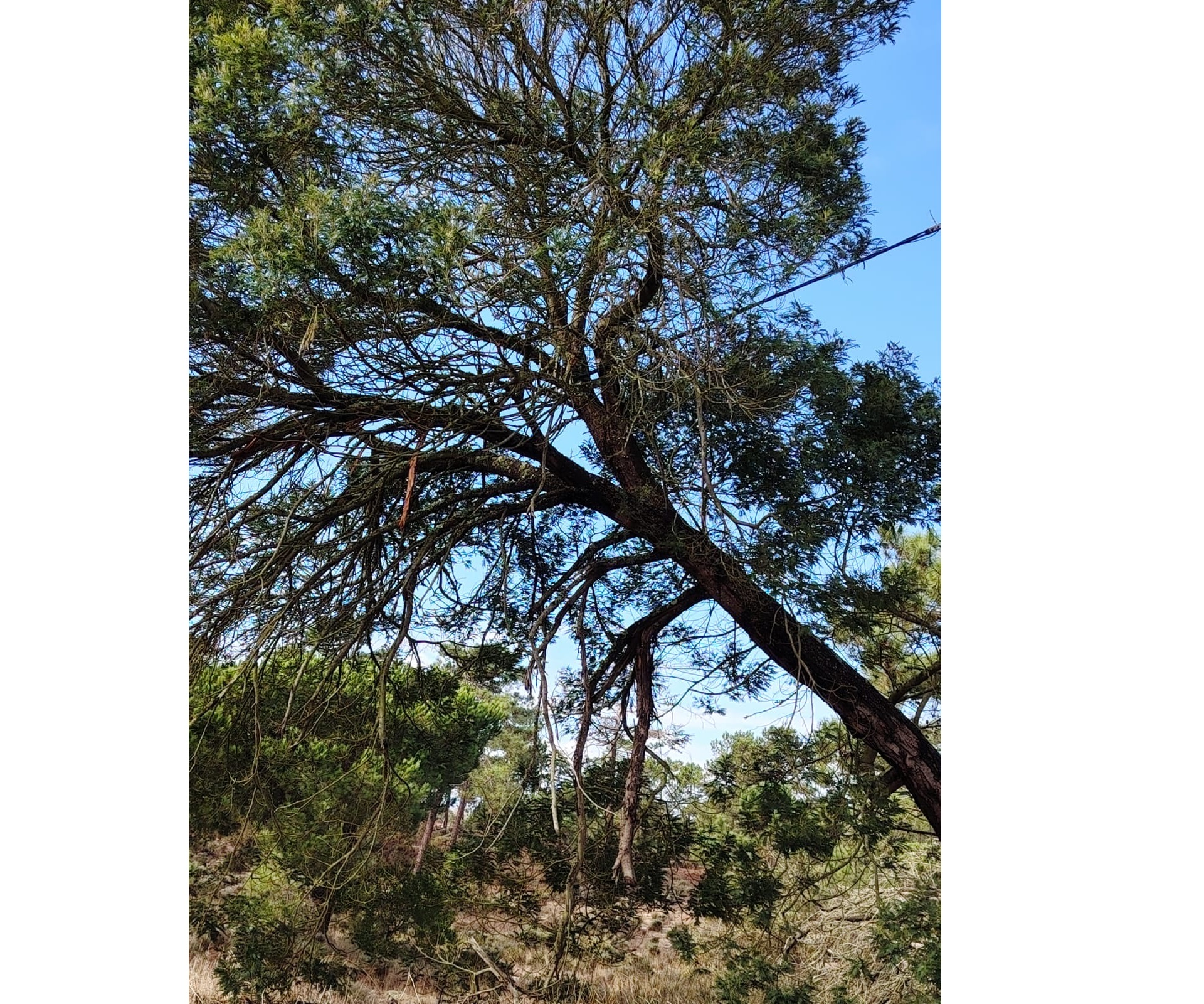 intempérie 5 nov 2025