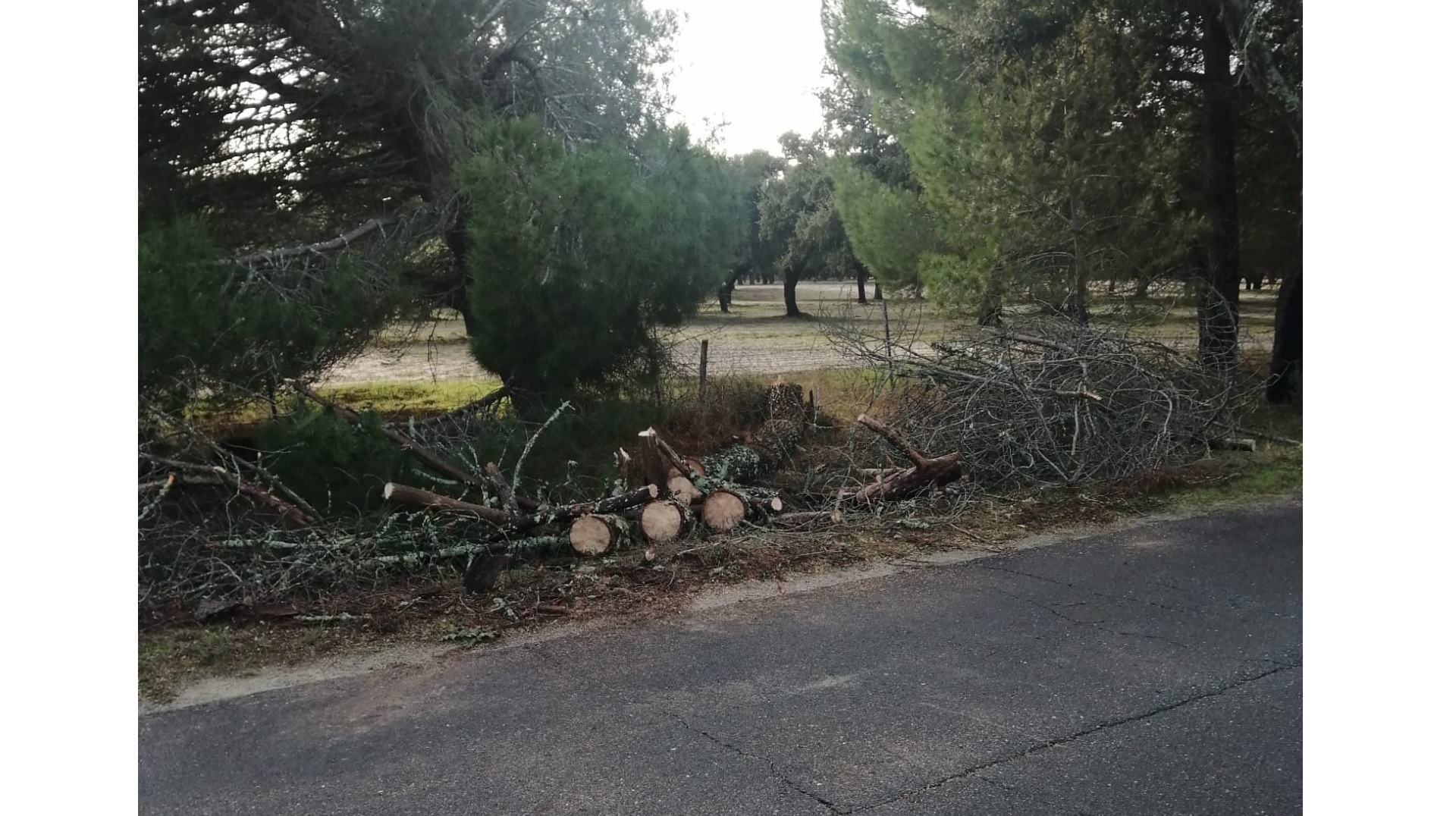 intempéries novembro 2025