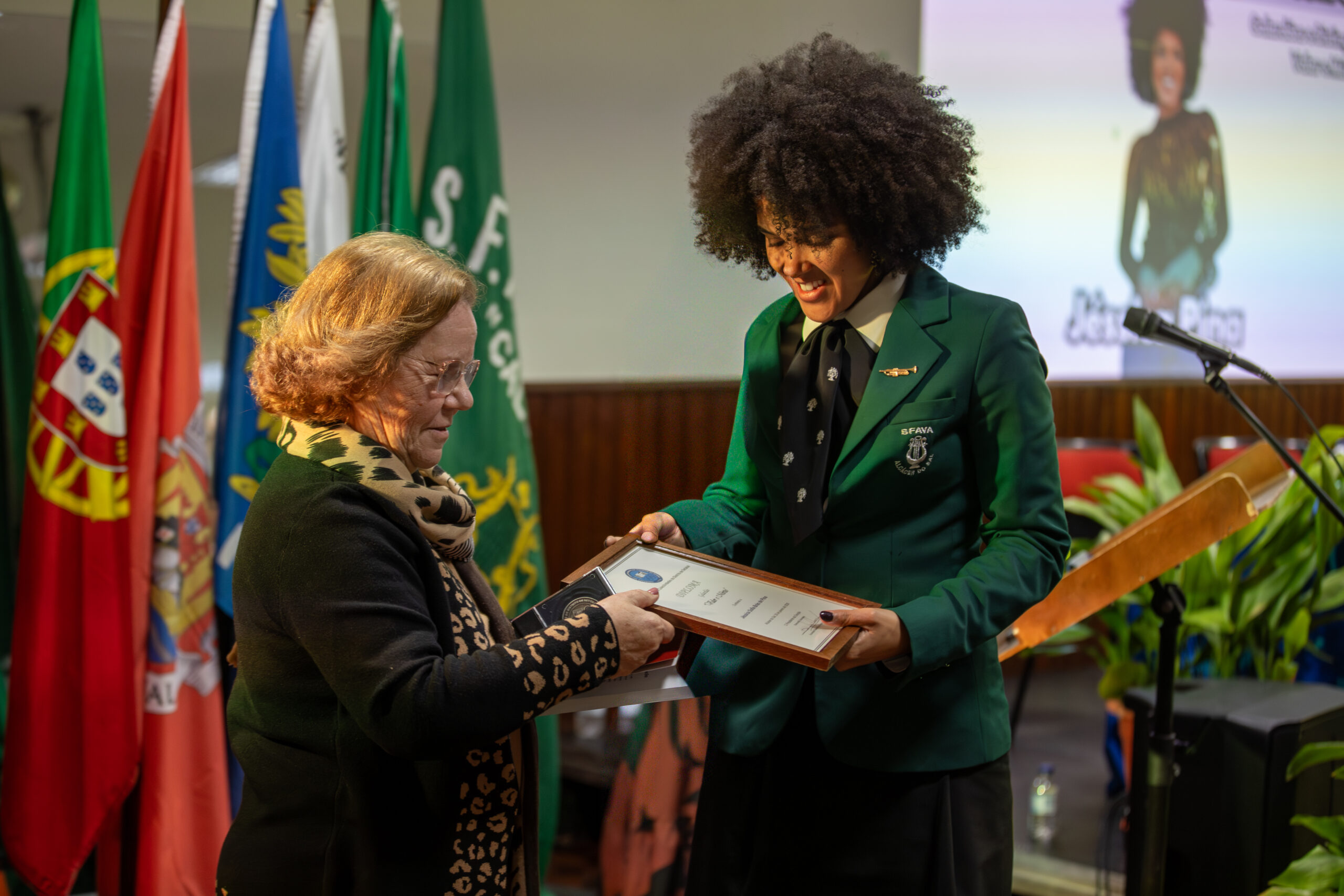 Federação associações associativismo (10)