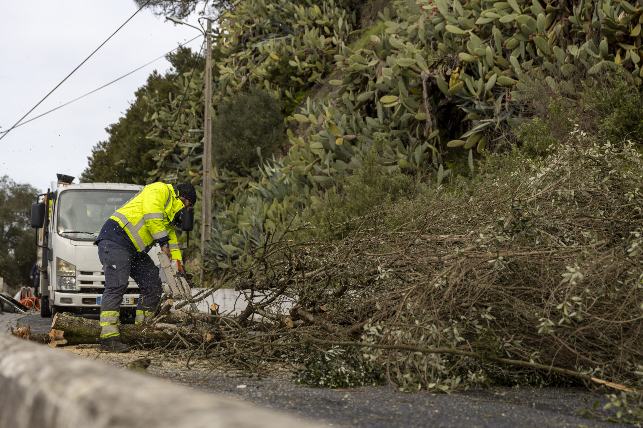 Resumo de ocorrências no concelho de Alcácer do Sal (Atualização 12h50)
