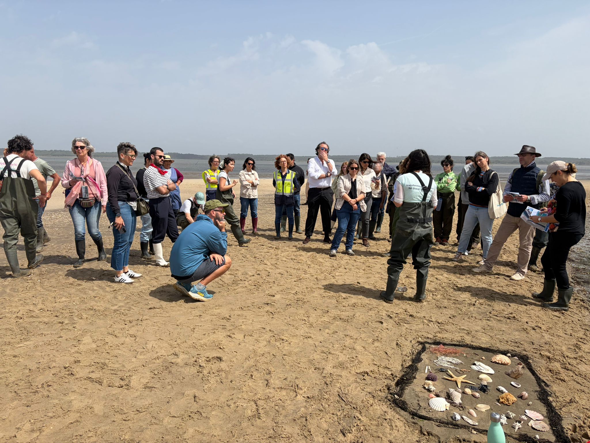 Ocean Alive apresentou resultados de 2025 em Vale de Éguas e Carrasqueira